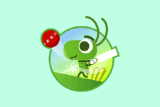 Doodle Cricket Unblocked